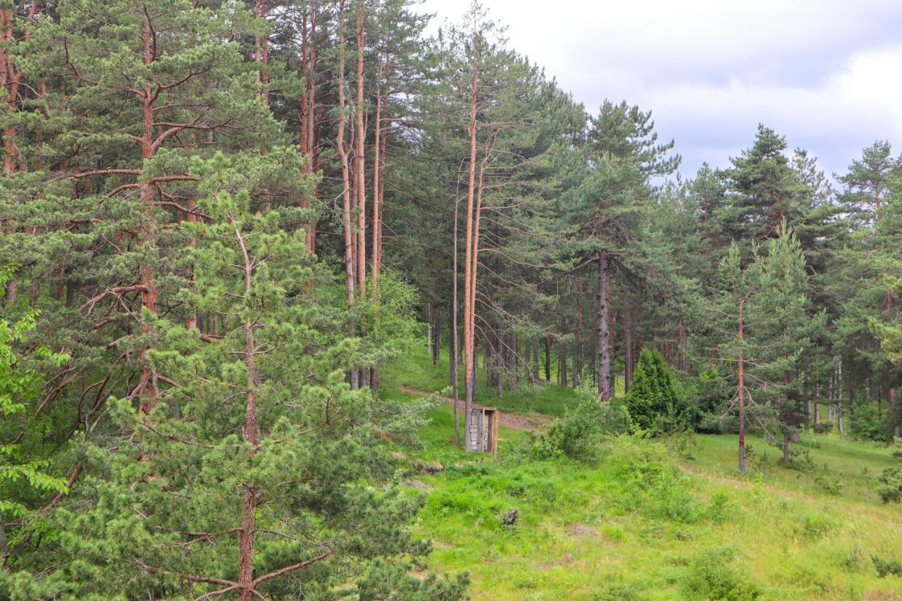 Zlatibor Holiday, Vila Leonardo VI Exterior photo