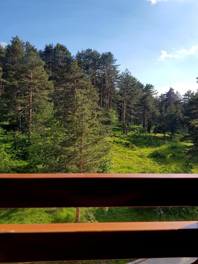 Zlatibor Holiday, Vila Leonardo VI Exterior photo